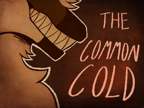 The Common Cold // PMV