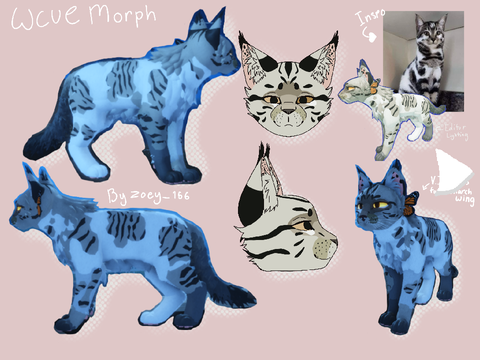 WCUE MORPH OTA