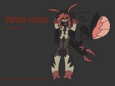 Venus ref sheet !!