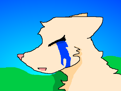 Random Art
