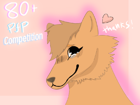 80+ FOLLOWERS Special!!!!