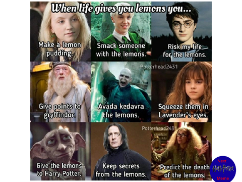 Harry potter memes!