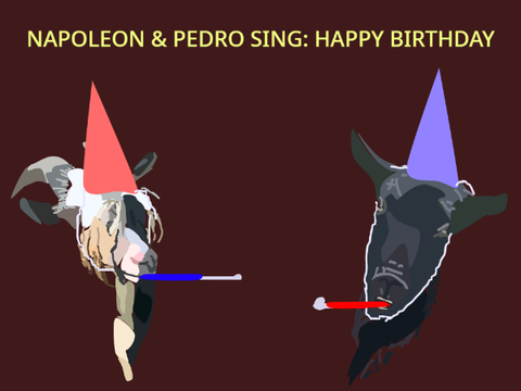 Happy Birthay! via Goats