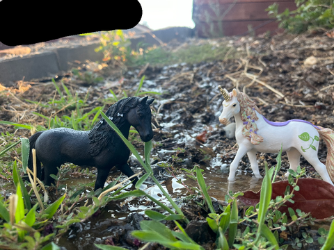 Little schleich photo shoot