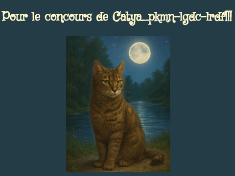 Pour le concours de Catya_pkmn-lgdc-lrdf!!!