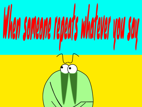 When someone repeats whatever you say: