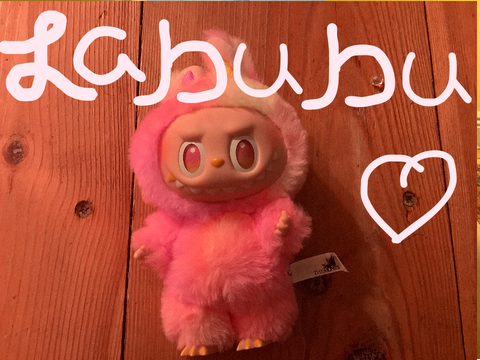 I got a Labubu!