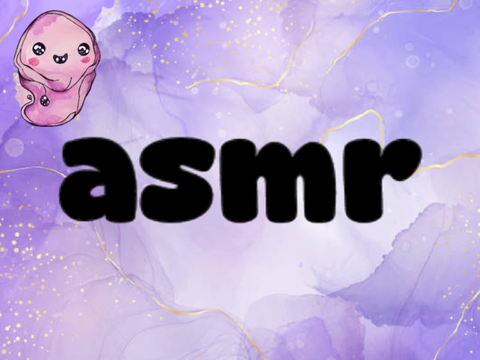 ⊹asmr⊹