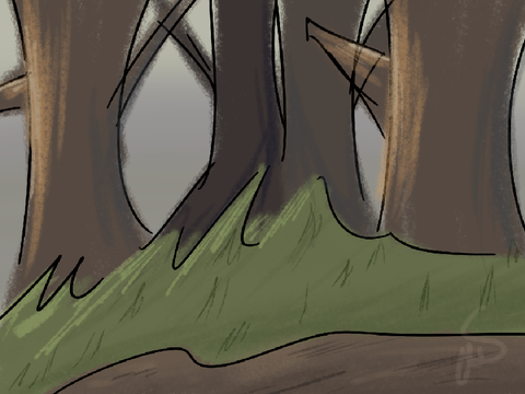 Lonely Woods