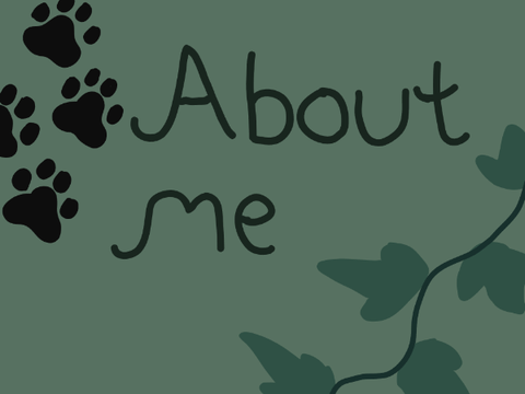About me / Chatroom 