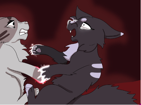 Panel animation! 