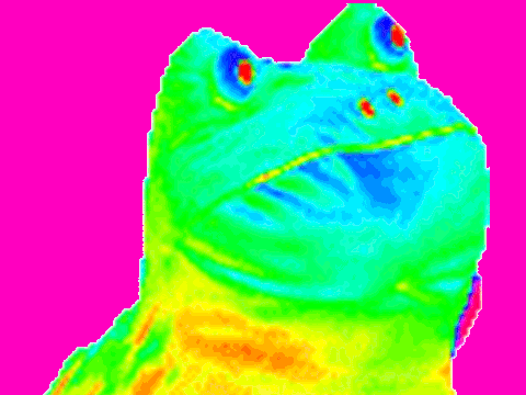MLG Rainbow Frog