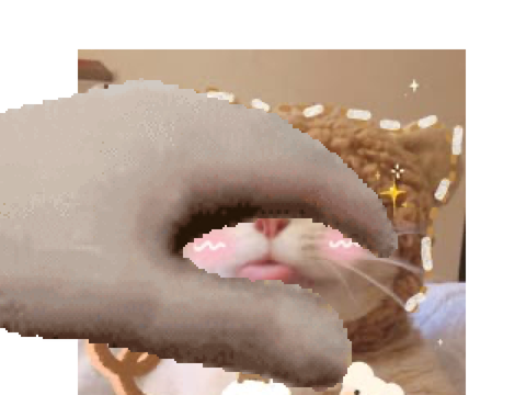 Pet The cat