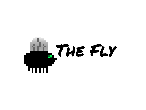 Fly