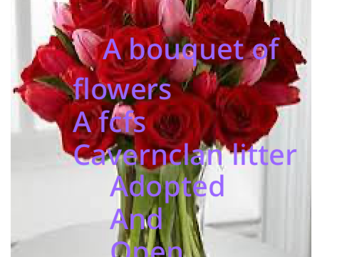 {5}✿A bouquet of flowers ❀ an closed fcfs cavernclan litter✿