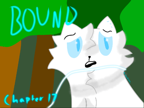Bound Chapter 17 - TN Entry