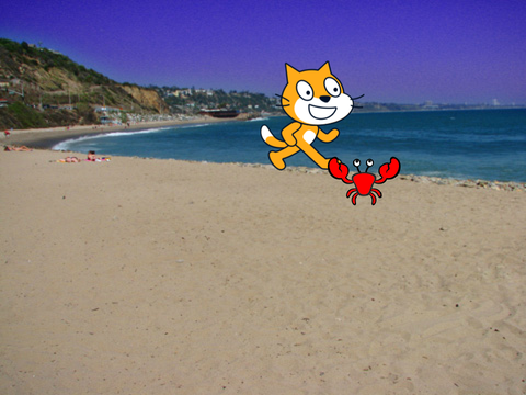 Sorry Crab