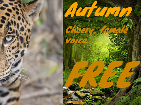 Autumn audition!!