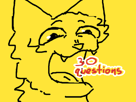 30 Questions!!! remix
