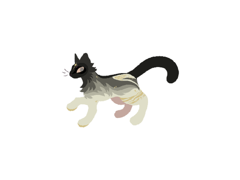 ^Void