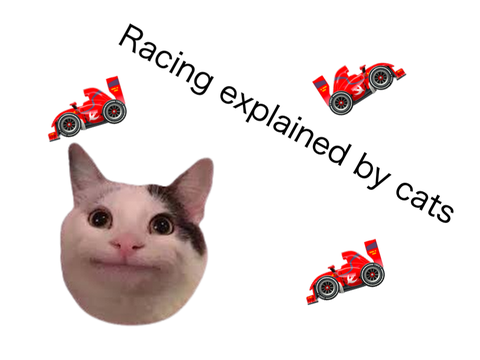 Racing explained by cats.