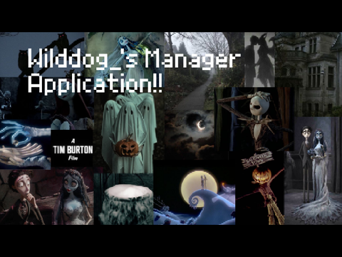Wilddog_'s DBD Manager Application!