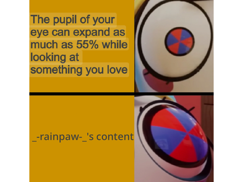Follow them or else