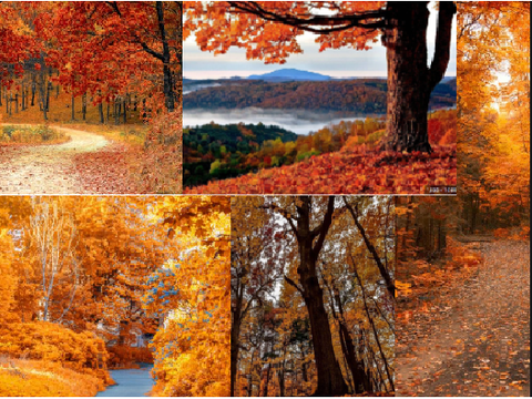 Fall Aesthetic!