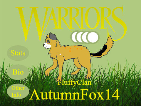 About Me Warriors Style!