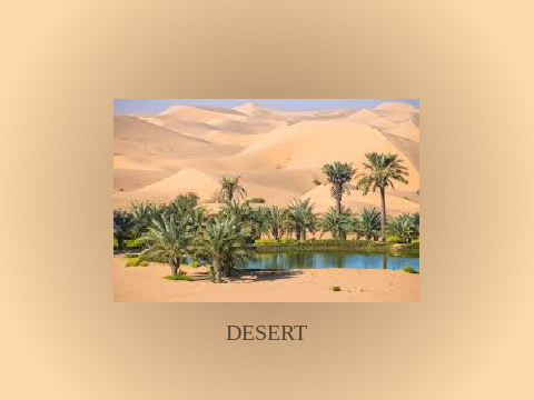DESERT (welcome back to scratch project)