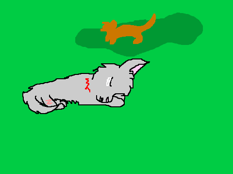 Cinderpelt dying