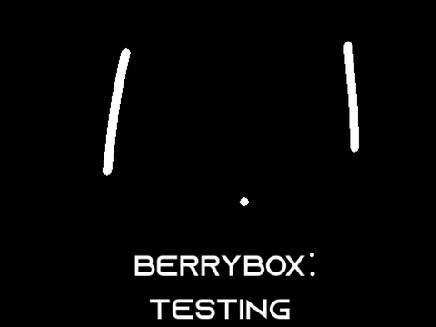 Berrybox 1: Testing