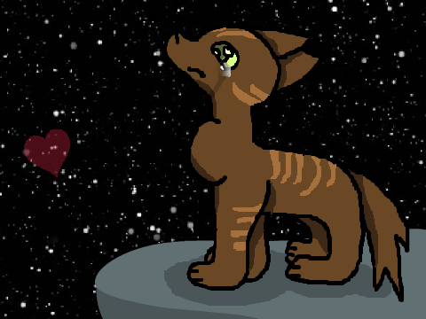 {**COUNTING STARS CC ENTRY**}