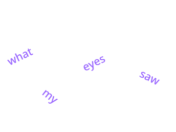 what my eyes saw (fr)