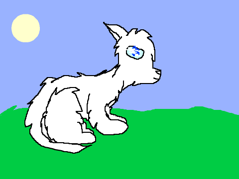 meow