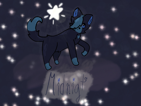 Midnight DTAE