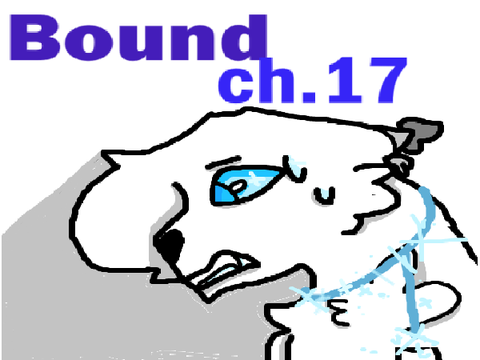 Bound Chapter 17 TN Contest  Entry