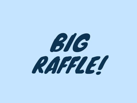 20+ follower raffle!
