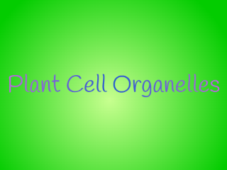Plant Cell Organelles
