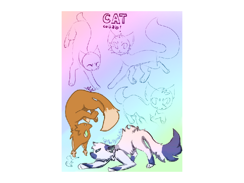 collab :]