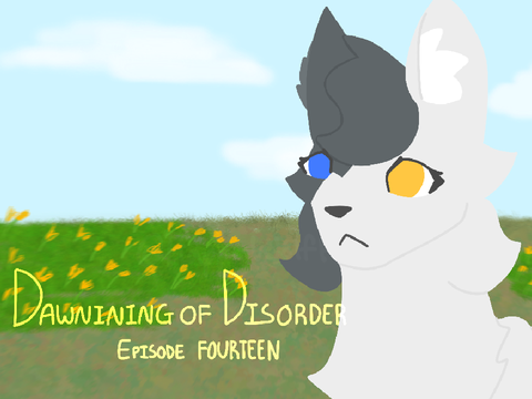 DoD 14 entry