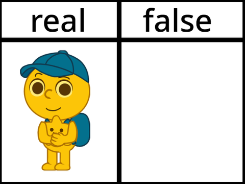 Make your own bimo false