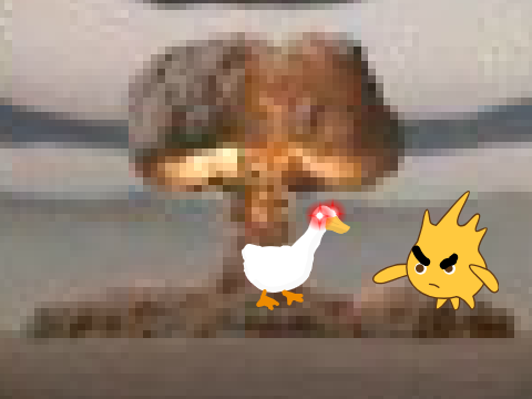 duck
