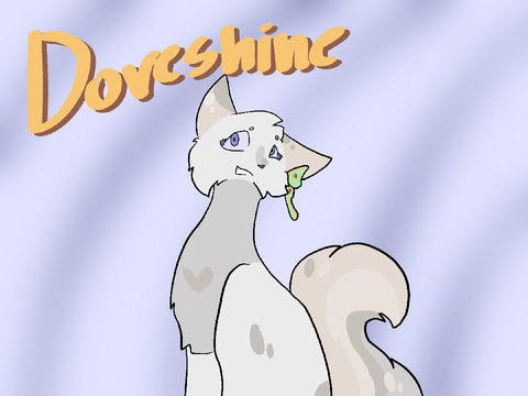 -Dove’s Creek-  Doveshine’s bio