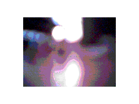 Blurry Monkey Dancing