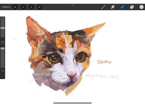 cats, fih, and wips