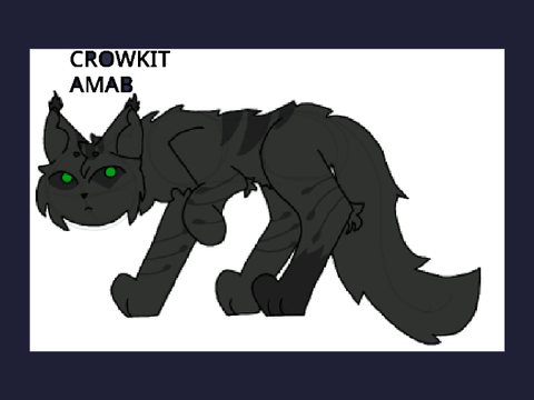 Crowpaw Generations OC