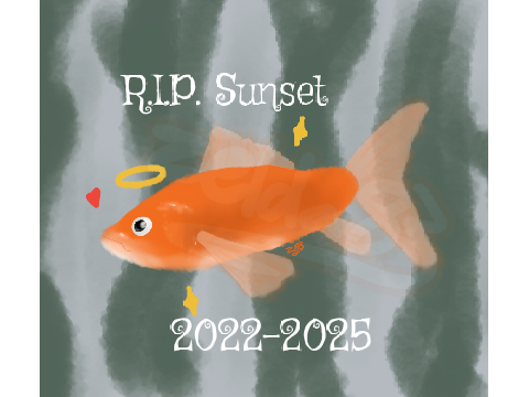 Rest in Peace, Sunset