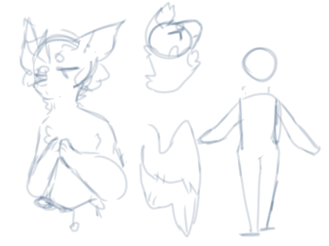 practice | requests