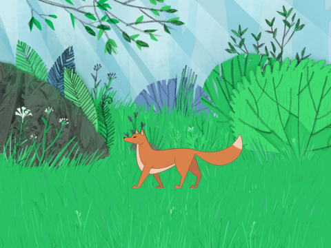Fox dance - @Ember_eats